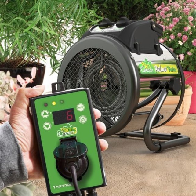 Biogreen, Palma TWIN (2 Glühwendel), inkl. Außenthermostat