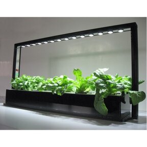 Parus M30 PRO Mini-Farm Grow Light (Wachstum/Blüte)