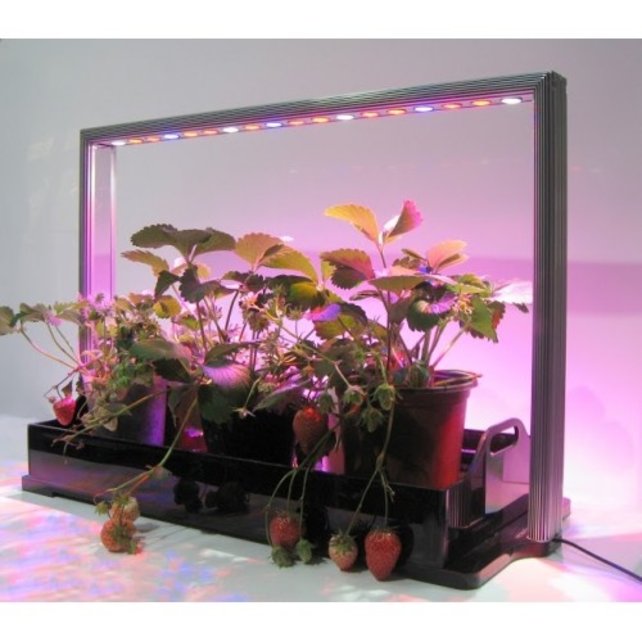 Parus M30 PRO Mini-Farm Grow Light (Wachstum/Blüte)