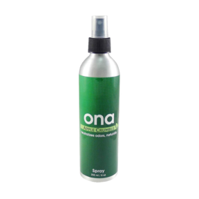 ONA  SPRAY 250ml fles  Apple Crumble