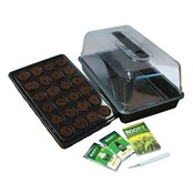 ROOT!T complete clone set