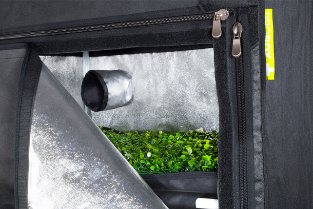 Garden Highpro Probox Propagator L 60x40x200 Garden Highpro Probox Propagator L 60x40x200