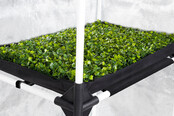 Garden Highpro Probox Propagator L 60x40x200 Garden Highpro Probox Propagator L 60x40x200