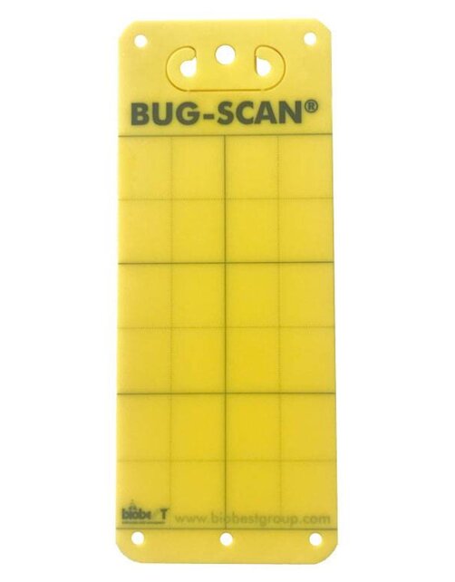 Biobest Bug-Scan Catch Strips Yellow 10 Pieces