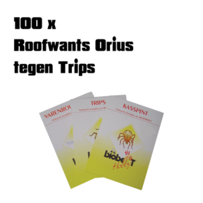 Roof Bug Orius 100 / against TRIPS (card only)