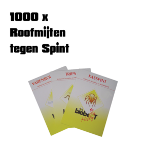 PREDATORY MITE 1000 pcs against SPIDER MITES (card only)