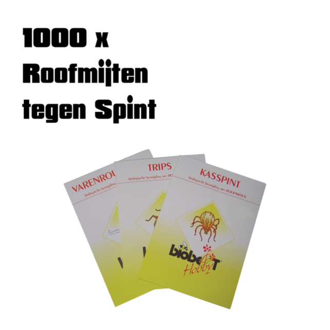 PREDATORY MITE 1000 pcs against SPIDER MITES (card only)