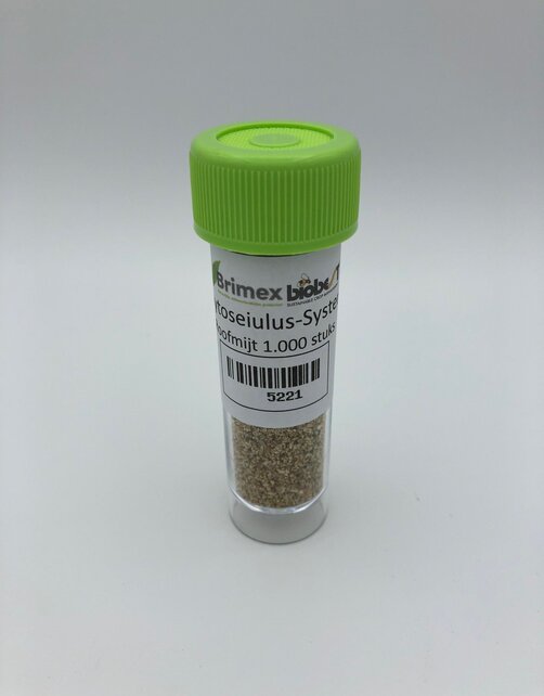 Raubmilbe 1000 Stück gegen Spinnmilben (nur Karte)