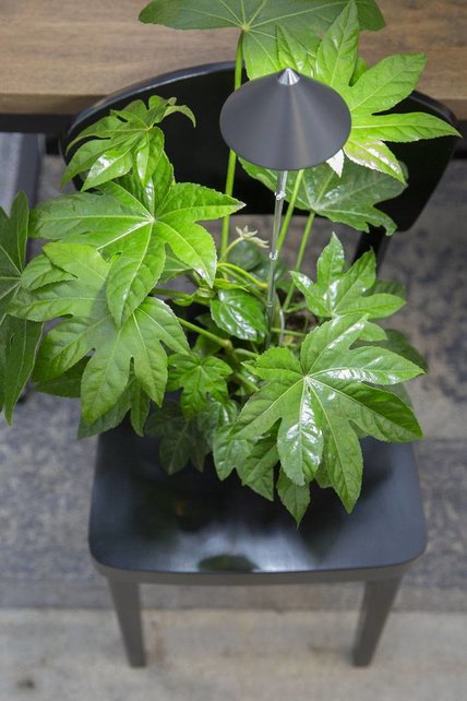 LED wachsen Licht Isun-Pole 7 Watt Weiß LED wachsen Licht Isun-Pole 7 Watt Weiß