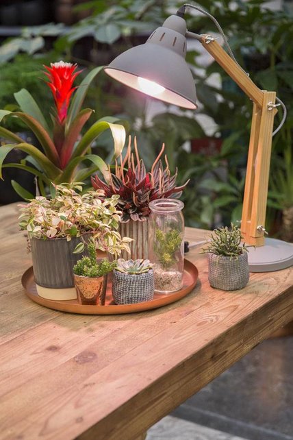 LED Grow Light E27 7W Bloom-Stimulation Flowering B07