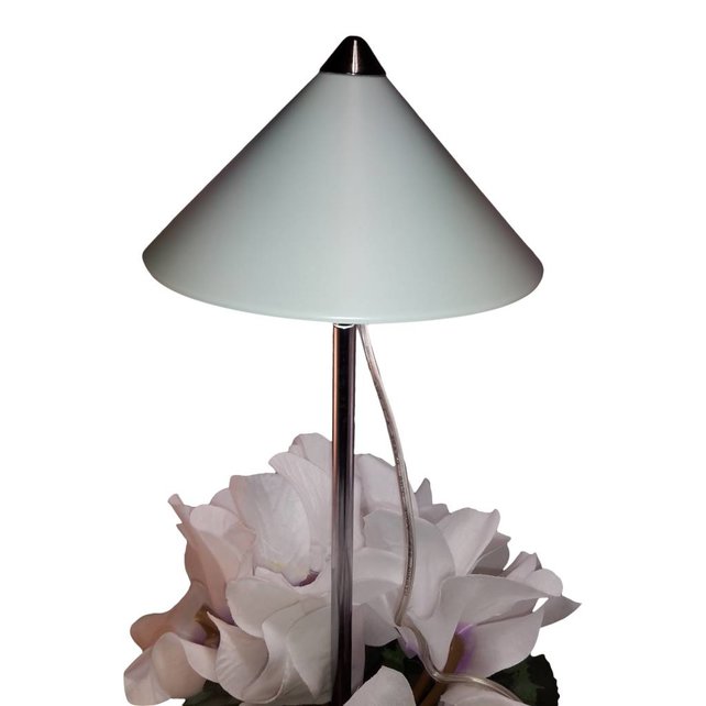 Wachsen Licht Isun Pole 10 Watt weiße LED