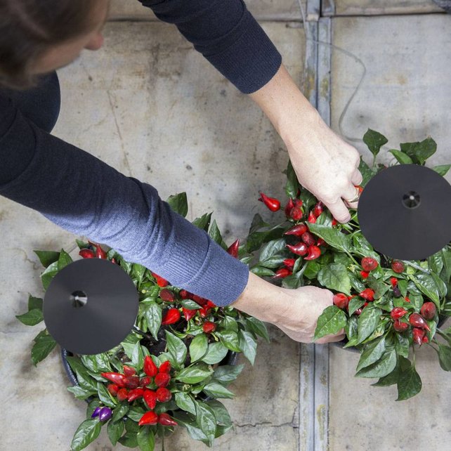 LED Grow Light Isun Pole 10 Watt White