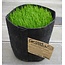 ROOTPOUCH BLACK 3,8 ltr met HANDVAT,10st/bundel, 260gr/m2