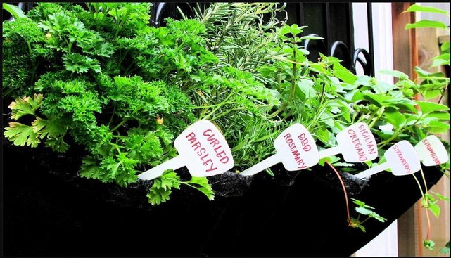 Rootpouch BLACK 39 ltr met HANDVAT,10st/bundel, 260gr/m2