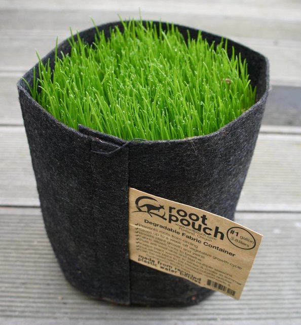 Rootpouch BLACK 56 ltr met HANDVAT,10st/bundel, 260gr/m2 Rootpouch BLACK 56 ltr met HANDVAT,10st/bundel, 260gr/m2