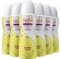 Poederzacht - Deodorant Spray - 6x 100ml Voordeelverpakking