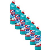 Glorix Eucalyptus bleek - Toiletreiniger - 6x 750ml - Voordeelverpakking