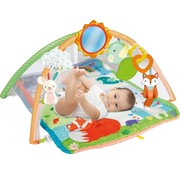 Clementoni Basis Activiteiten Boog Gym- Speelkleed babygym