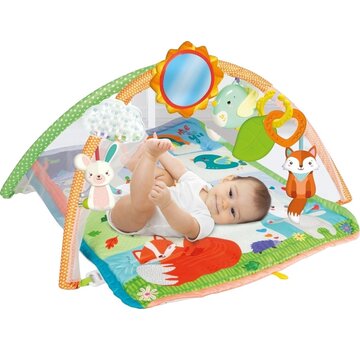 Clementoni Basis Activiteiten Boog Gym- Speelkleed babygym
