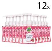 Dettol Handzeep Zachte Mousse - Antibacterieel - Roos & Kersenbloesem 12x 250ml