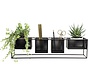 Trendy design Wandrek Metaal Zwart met 4 Verplaatsbare Containers