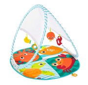 Fisher Price Baby speelgym draagbaar - Speelmat met speeltjes - Inklapbaar