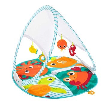 Fisher Price Baby speelgym draagbaar - Speelmat met speeltjes - Inklapbaar