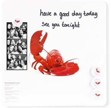 Dresz Trendy Magneetbord Kreeft - Whiteboard - Beschrijfbaar - 4 Magneten - 29x29cm