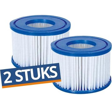Bestway Lay-Z-Spa Filterpatroon Type VI (2 stuks) c