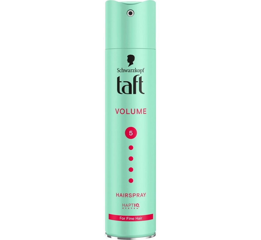 Taft Styling Haarspray / Haarlak - Hold No 5 - Volume - 6x 250ml