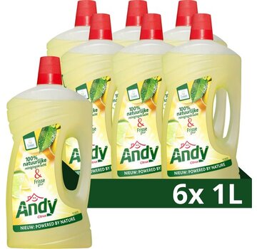 Andy Allesreiniger - Citrus - 6x 1000ml