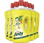 Andy Allesreiniger - Citrus - 6x 1 Liter (1000ml)