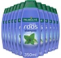Shampoo Anti Roos (Dandruff) met Wilde Mint - 12x 350ml Voordeelverpakking