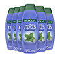 Shampoo - Anti Roos (Dandruff) met Wilde Mint - 6x 350ml Voordeelverpakking