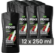 Axe Douchegel Africa Bodywash 3in1 - 12x 250ml