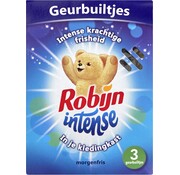 Robijn Intense Morgenfris - Geurbuiltjes - 3 stuks