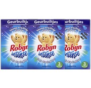 Robijn Intense Morgenfris - Geurbuiltjes - 3x 3 stuks
