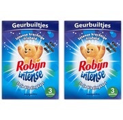 Robijn Intense Morgenfris - Geurbuiltjes - 2x 3 stuks