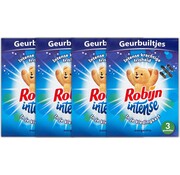 Robijn Intense Morgenfris - Geurbuiltjes - 4x 3 stuks