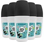 Mimosa & Zwarte Bes - Deodorant Roller - 5x 50ml