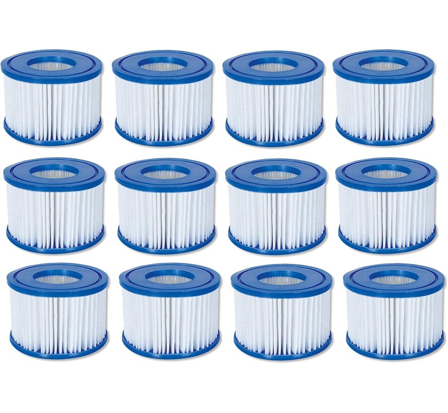 24 stuks Lay-Z-Spa Filterpatroon Type VI (12x2 stuks)