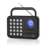 Nedis FM radio klok - Wekker - PPL - 3W - zwart/grijs - MicroSD + USB