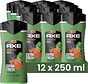 Douchegel Jungle Fresh 3in1 Bodywash - 12x 250ml