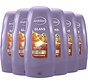 Glans - Voor ieder haartype - Conditioner - 6x 250ml