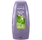 Iedere dag - Voor ieder haartype - Conditioner - 250ml