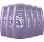 Zilver Care - Keratine & Amandelolie - Conditioner - 6x 250ml