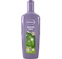 Iedere dag - Zonnebloemolie - Shampoo - 300ml
