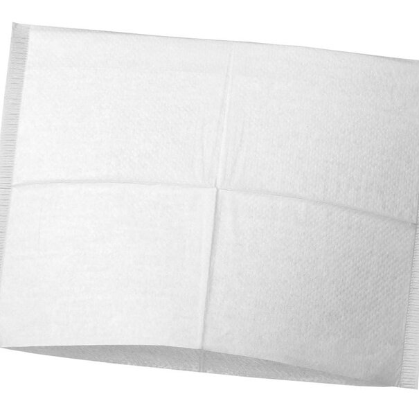 Hoofdsteunzakken gevouwen 25x25 cm Wit 500 st