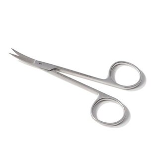 Irisschaar Recht 11 cm gebogen RVS
