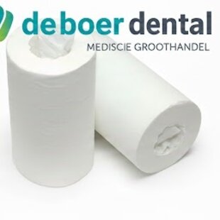 Papierrollen eenlaags mini zonder koker (wit - 12 rollen)